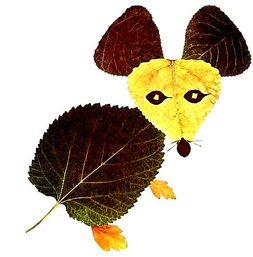 【招募令】小記者第六場主題活動“遇見秋天”系列之“樹葉粘貼”等你挑戰！